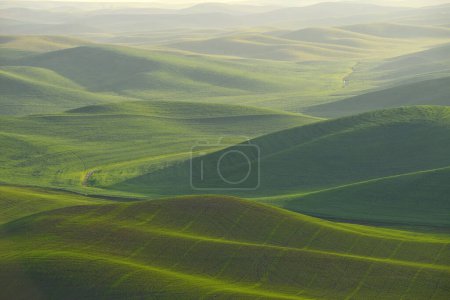 Photo for Beautiful green hills area in Palouse - Royalty Free Image