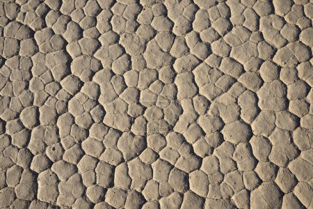 Photo for Cracked dry earth texture, background - Royalty Free Image