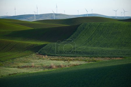 Photo for Wheat farm hill with wind mills - Royalty Free Image