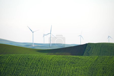 Foto de Granja de trigo colina con molinos de viento - Imagen libre de derechos
