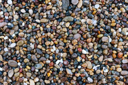 Photo for Pebble stones background, texture - Royalty Free Image