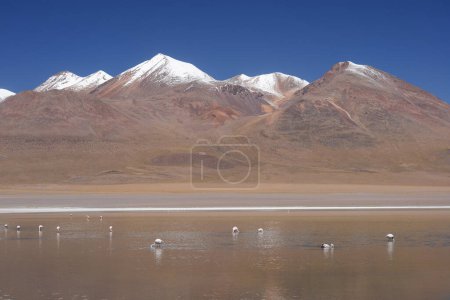 Photo for Scenic view of bolivia mountains - Royalty Free Image
