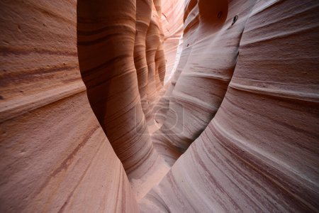 Photo for View of Zebra canyon - Royalty Free Image
