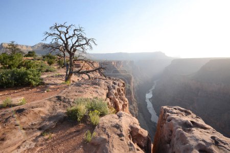 Foto de Toroweap Overlook, mirador dentro del Parque Nacional del Gran Cañón en Arizona, Estados Unidos - Imagen libre de derechos