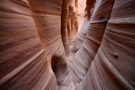 Photo for View of Zebra canyon - Royalty Free Image