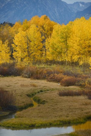 Photo for Grand Teton National Park during autumn - Royalty Free Image