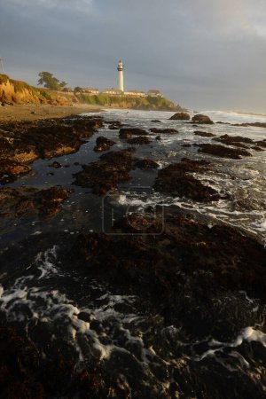 Photo for Pigeon Point Lighthouse on the cliff at the sunset, California, USA. - Royalty Free Image