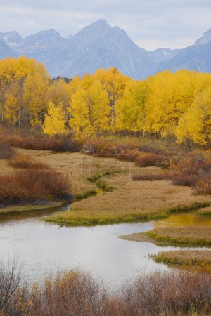 Téléchargez les photos : Parc national du Grand Teton à l'automne - en image libre de droit