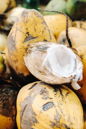 Foto de Cocos amarillos se venden en el mercado de la isla de Mauricio. Corta un coco joven con Makoto. Muchos cocos en el mercado - Imagen libre de derechos