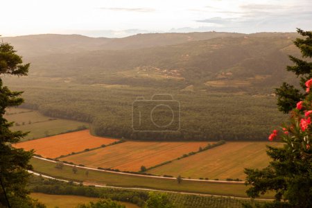 Photo for Top view of cultivated field - Royalty Free Image