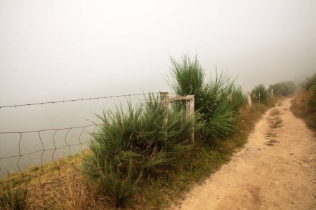 Téléchargez les photos : Vue du chemin de Galice - en image libre de droit