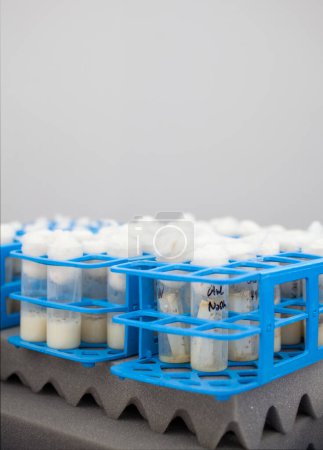 Photo for The test Tubes in the laboratory - Royalty Free Image