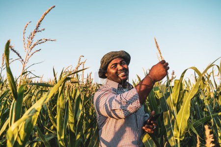 Téléchargez les photos : Agriculteur heureux au champ - en image libre de droit