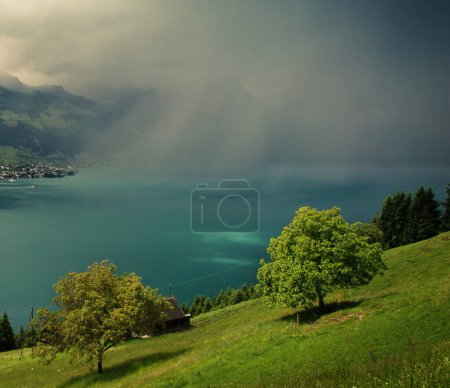 Téléchargez les photos : Beckenried, Suisse et photos - en image libre de droit