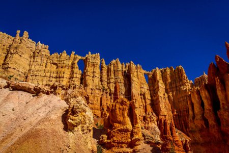 Photo for "Wall of Windows in Bryce Amphitheater" - Royalty Free Image