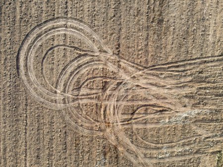 Photo for "Top view of the tracks from the wheels of tractors after the harvest. " - Royalty Free Image