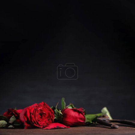 Foto de Rosa marchita sobre fondo gris oscuro y mesa de madera con pétalos y hojas de otoño, concepto de diseño de romance triste día de San Valentín, roto, copia, espacio. - Imagen libre de derechos