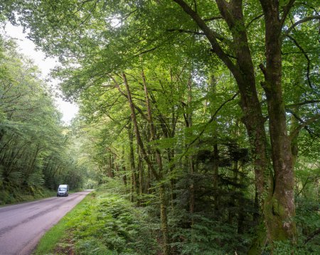 Téléchargez les photos : Voiture sur route de campagne en vallée avec forêt près du Parc naturel régional d'Armorique près de huelgoat - en image libre de droit