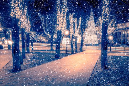 Téléchargez les photos : Chute de neige dans un parc de nuit d'hiver avec décorations de Noël, lumières, trottoir couvert de neige et d'arbres - en image libre de droit