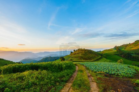 Téléchargez les photos : Pays montagne et lever du soleil - en image libre de droit