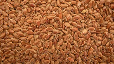 Photo for Flax seed is used to make linseed oil. Brown flax seed background. - Royalty Free Image