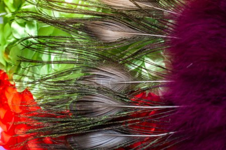 Photo for Beautiful bird feathers for decorative aims - Royalty Free Image