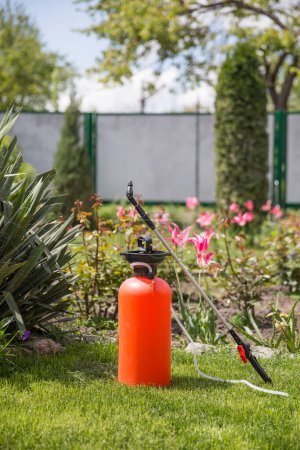 Photo for Pesticide Sprayer in the garden - Royalty Free Image