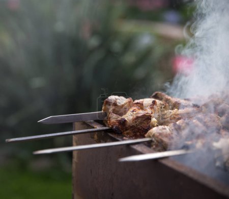 Téléchargez les photos : Viande de barbecue sur brochettes - en image libre de droit