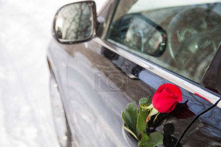 Photo for Red rose in car door handle - Royalty Free Image