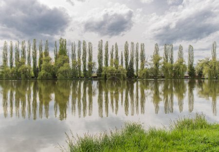 Téléchargez les photos : Lac et arbres verts - en image libre de droit