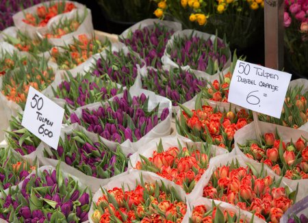 Téléchargez les photos : Belles plantes au marché aux fleurs - en image libre de droit