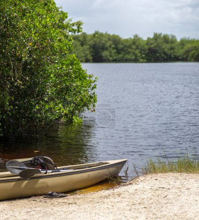 Foto de "Kayaks en el parque nacional Everglades, Florida, EE.UU.
" - Imagen libre de derechos