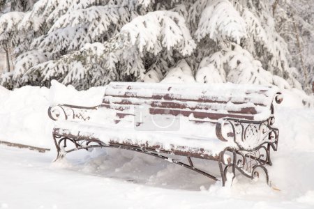 Téléchargez les photos : Scène enneigée dans le parc d'hiver avec banc - en image libre de droit