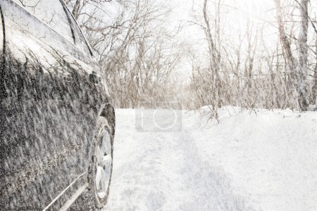 Téléchargez les photos : Voiture en forêt vue neigeuse - en image libre de droit
