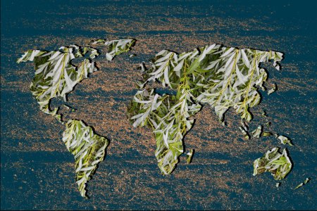 Foto de Mapa del mundo esbozado con relleno de plantas verdes - Imagen libre de derechos