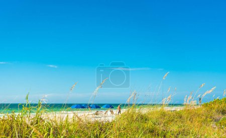 "Indian rocks beach with green grass in Florida, USA"