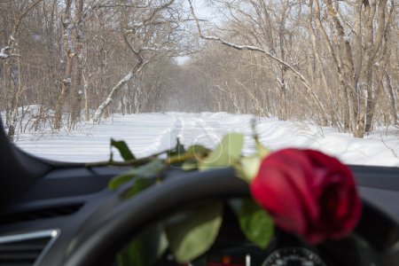 Photo for Red rose in car at winter - Royalty Free Image
