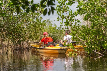 Téléchargez les photos : EVERGLADES, FLORIDE, USA - 31 AOÛT : kayak touristique en mangro - en image libre de droit