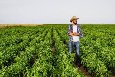 Téléchargez les photos : Agriculteur dans le champ - en image libre de droit