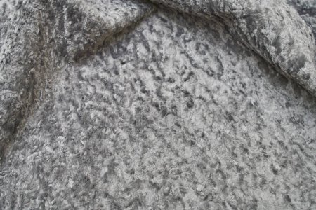 Photo for Abstract fabric backdrop. Closeup karakul fur texture - Royalty Free Image