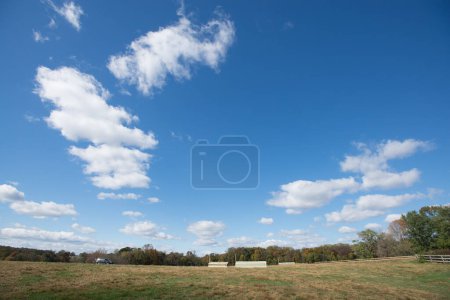 Téléchargez les photos : "Image de paysage large de prairie et grand ciel bleu" - en image libre de droit