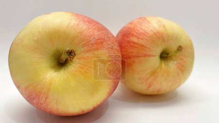 Photo for The indispensable and vitamin-filled fruit of autumn and winter, apples - Royalty Free Image