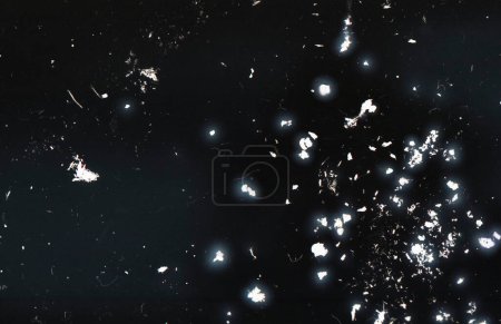 Photo for Abstract creative backdrop. glowing particles background - Royalty Free Image