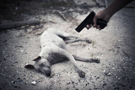 Foto de Mal objetivo humano de perro y matar con pistola de mano. Matanza de animales y concepto de asesinato, concepto criminal y forajido, tono oscuro y viñeta - Imagen libre de derechos