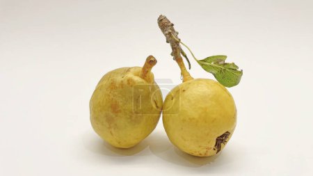 Photo for "close-up organic small pear on white background" - Royalty Free Image