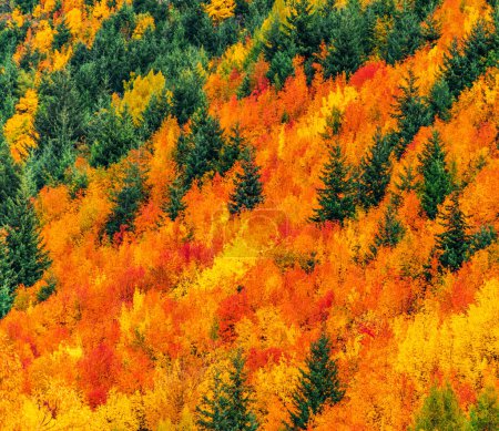 Téléchargez les photos : Paysage de montagnes d'automne - en image libre de droit