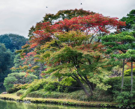 Téléchargez les photos : Voyage autour du monde avec de belles photos d'automne - en image libre de droit