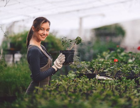 Foto de "chica que trabaja en el jardín con las plantas de semillero en macetas de" - Imagen libre de derechos