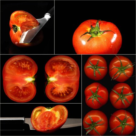 Foto de Vista de cerca de tomates ecológicos frescos maduros - Imagen libre de derechos