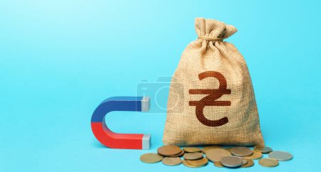 Photo for Ukrainian hryvnia money bag and red blue magnet. Money laundering. Raising funds and investments in business projects and startups. Accumulation and attraction of capital. Tax collection. - Royalty Free Image
